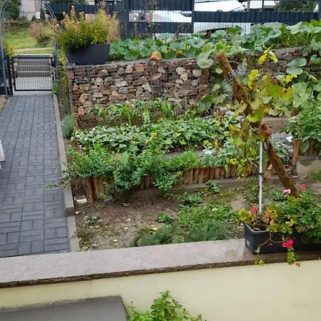 Am Dollespark Appartamento Bodenheim