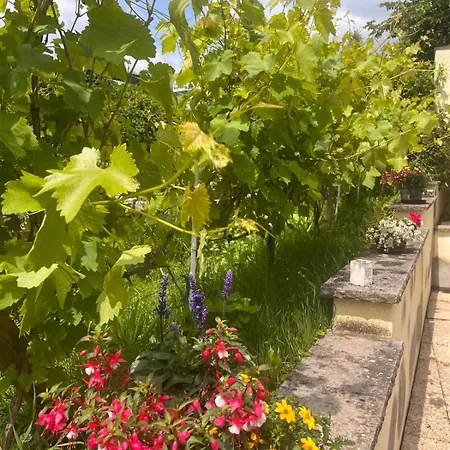 Am Dollespark Bodenheim