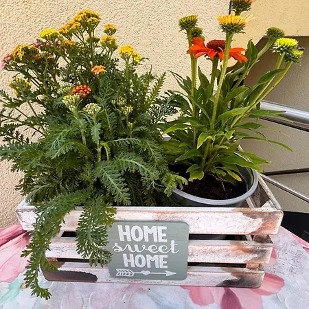 Appartement Am Dollespark Bodenheim