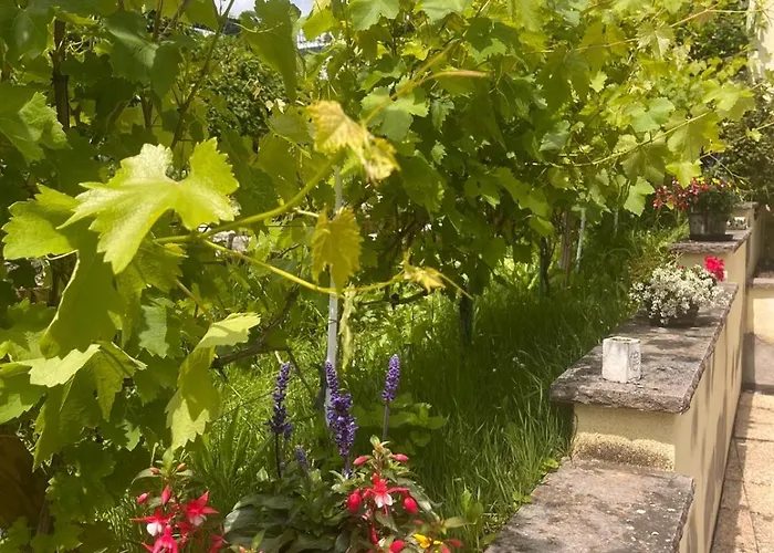 Am Dollespark בודנהיים